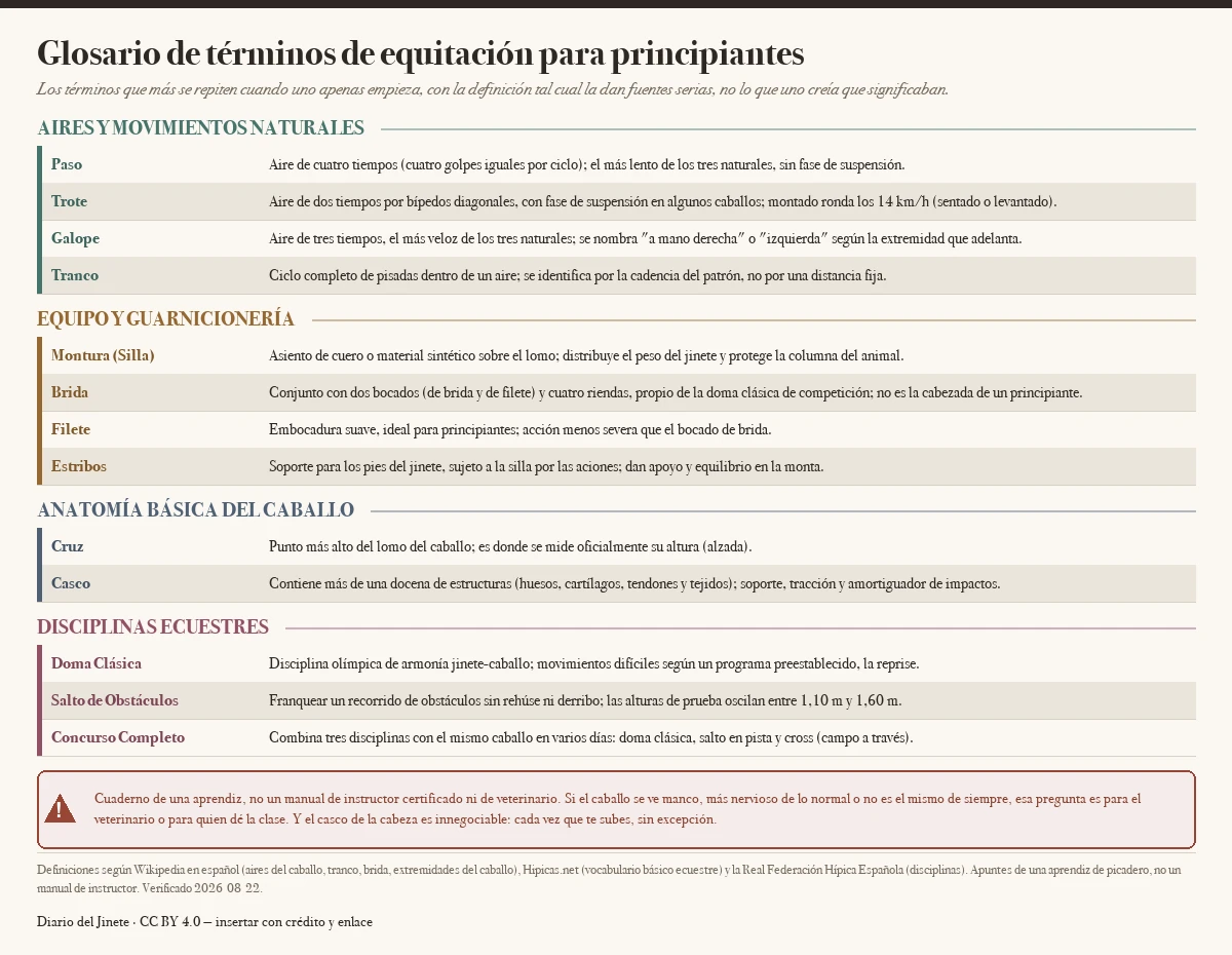 Glosario visual de equitación para principiantes con trece términos en cuatro grupos: aires y movimientos (paso, trote de unos 14 km/h, galope, tranco), equipo y guarnicionería (montura, brida, filete, estribos), anatomía básica (cruz, casco) y disciplinas ecuestres (doma clásica, salto de obstáculos de 1,10 a 1,60 m, concurso completo), con un aviso de que ante un caballo manco o alterado se consulta al veterinario y que el casco de la cabeza es innegociable.